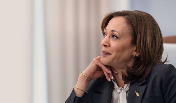 Kamala Harris leads 2028 — Life Story, Career & Fame - Personal Life