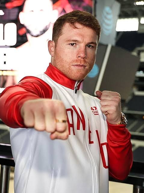 Canelo Alvarez's Return Delayed — Biography, Age & Net Worth 2026 - Career Overview