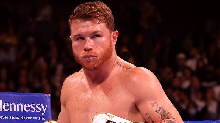 Canelo Alvarez's Return Delayed — Biography, Age & Net Worth 2026 - Personal Life