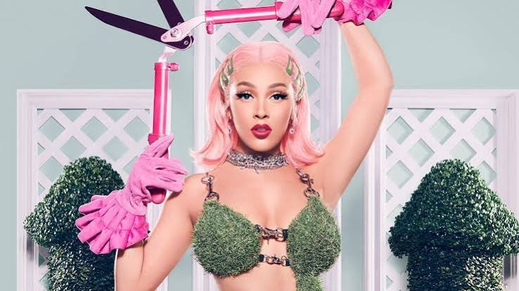 Who Is Doja Cat? Full Biography & Career Highlights - Personal Life