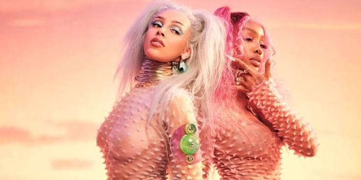Doja Cat Net Worth 2026: Income, Endorsements & Assets - Personal Life