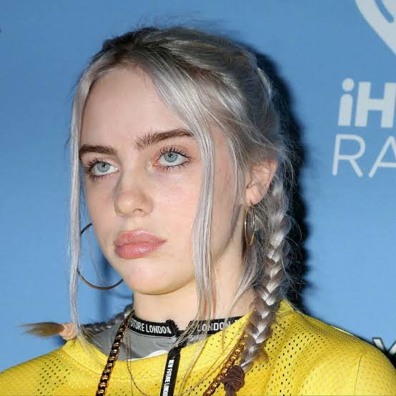 Who Is Billie Eilish? Full Biography & Career Highlights - Personal Life