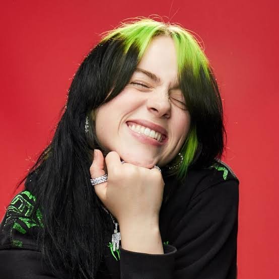 Billie Eilish Net Worth 2026: Income, Endorsements & Assets - Personal Life