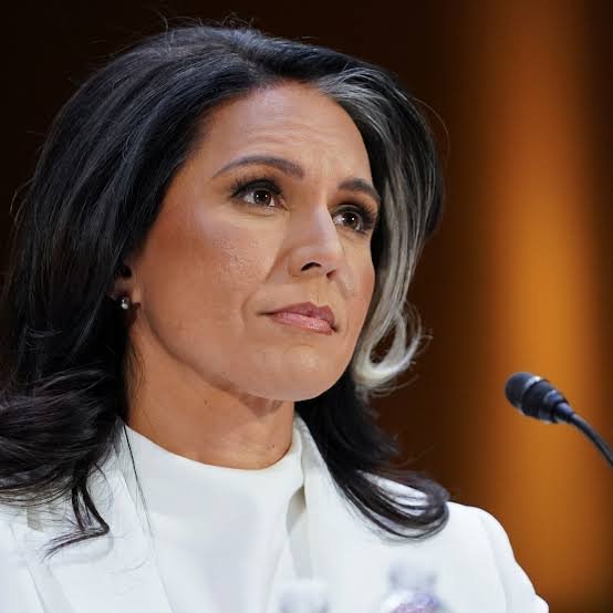 Tulsi Gabbard's Brother Arrested in Waikiki Incident — Biography, Family & Net Worth - Public Image 